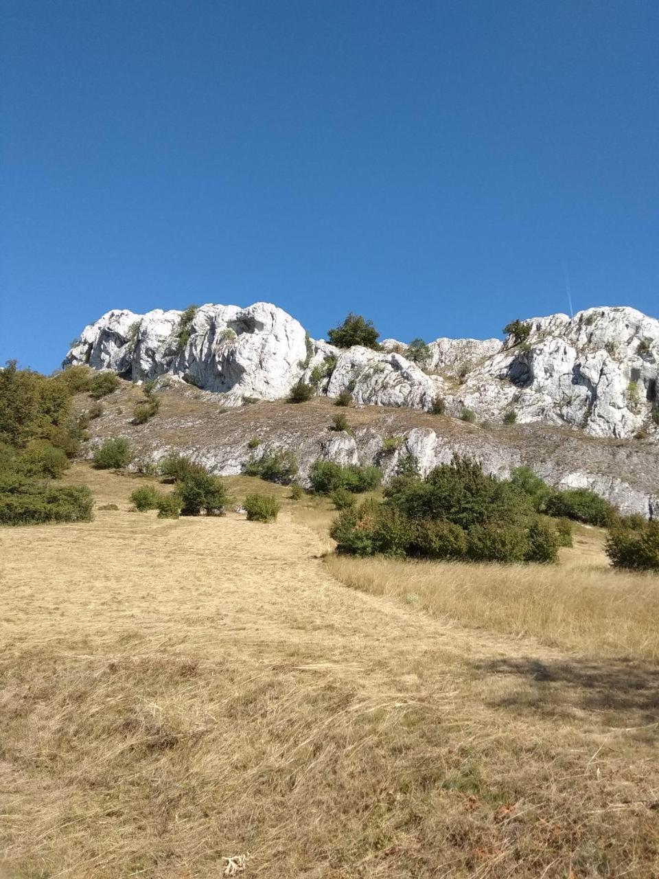 Penzion U Ježů - Ubytování Pasohlávky Exterior foto